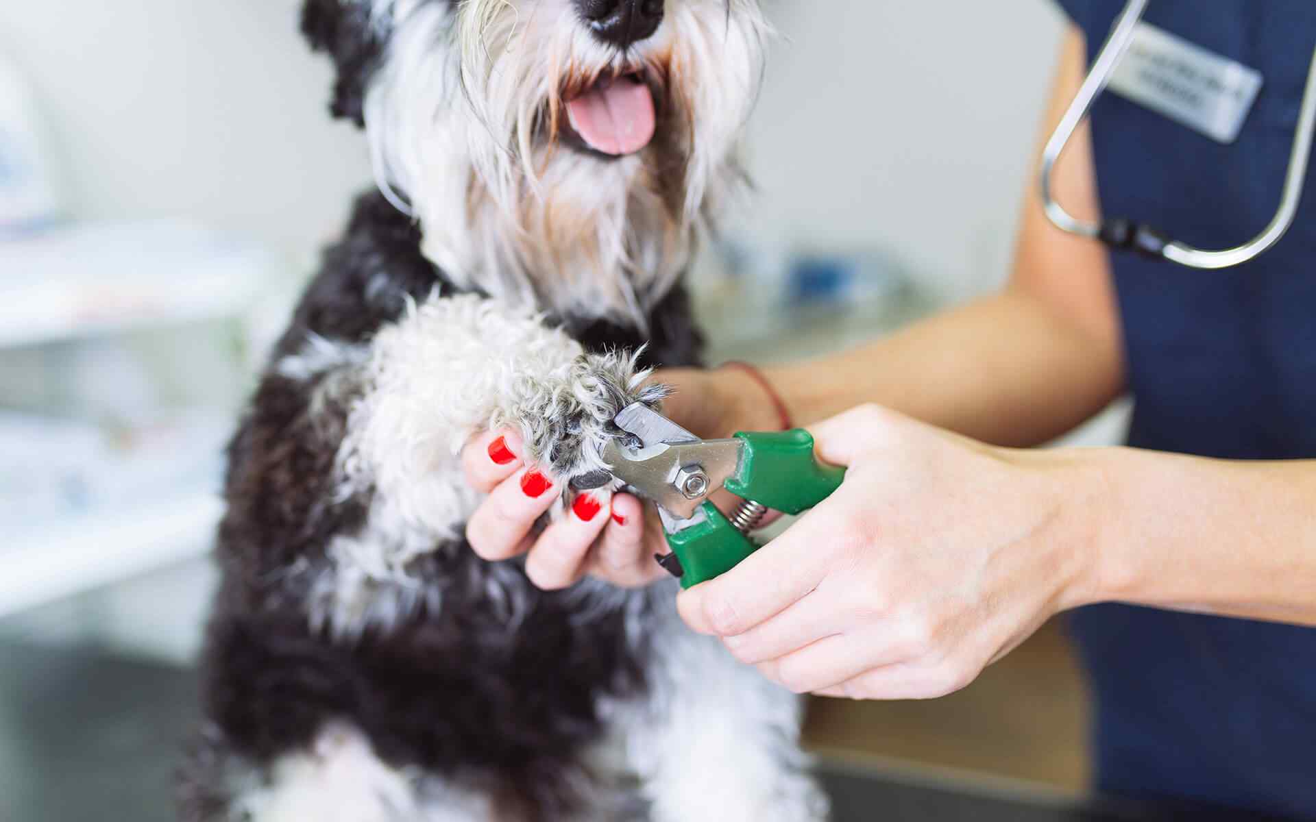 How to Choose the Perfect Daycare?