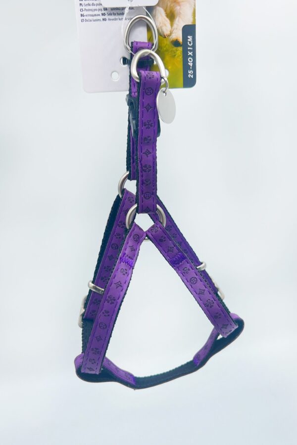 Hundsele Mylord Viola