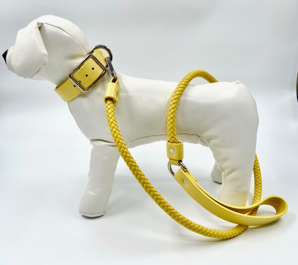 Halsband och Sele Set Corda Yellow