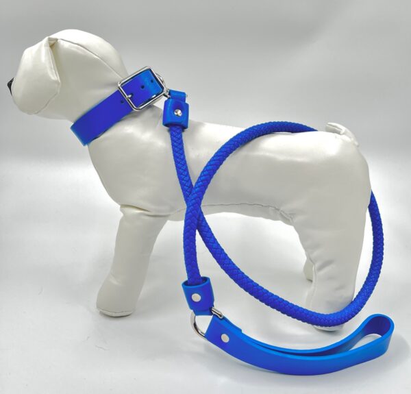 Halsband och Sele Set Corda Blue