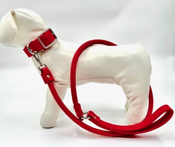 Halsband och Sele Set Corda Red