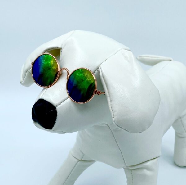Hund Glasögon