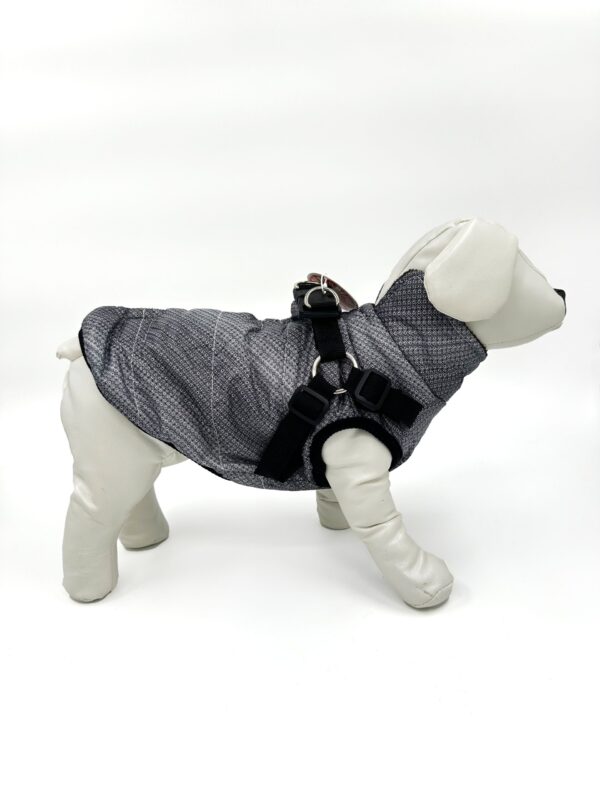 Ozzie Winter Jacket Grey